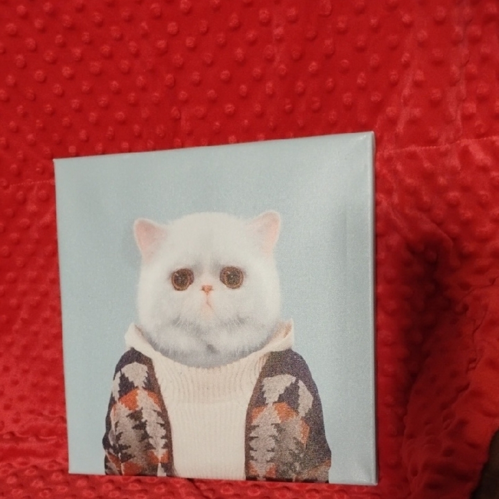 Stylish Cat Canvas Art - White and Blue